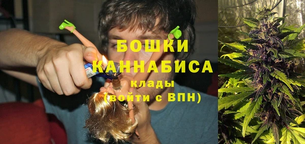 сатива Баксан