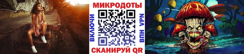 купить наркотик  Волгореченск  Псилоцибиновые грибы Psilocybine cubensis 